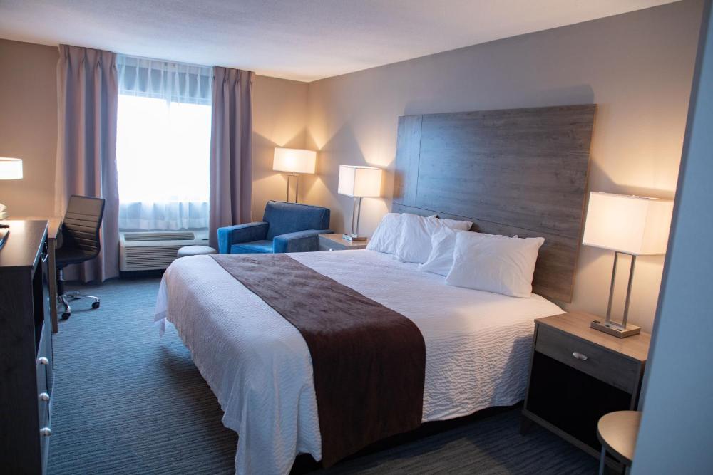 King Room interior